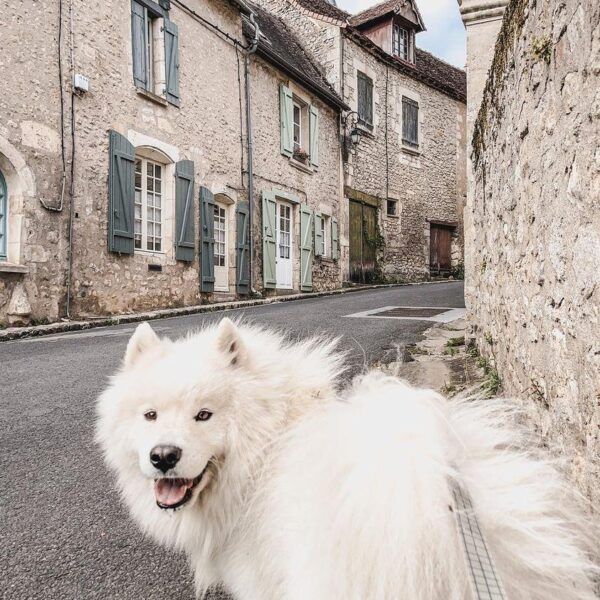 Forteresse d'Angles sur l'Anglin