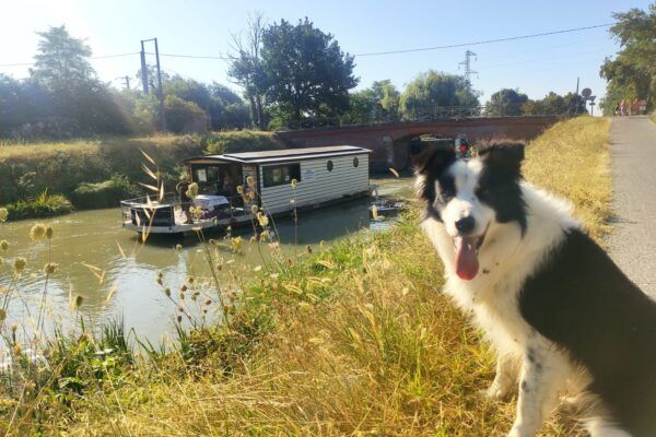 Le Canal de Garonne en bateau solaire écologique