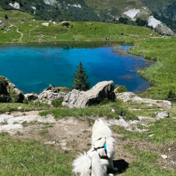 Randonnée du Lac de Saint-Guerin au Lac des Fées