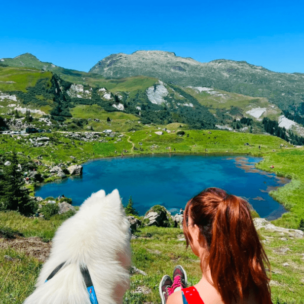 Plein de balades et randonnées en Savoie autour du lac Saint Guerin en Auvergne-Rhône-Alpes avec son chien