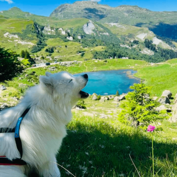 Randonnée du Lac de Saint-Guerin au Lac des Fées