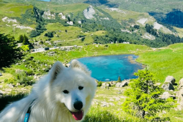 Randonnée du Lac de Saint-Guerin au Lac des Fées