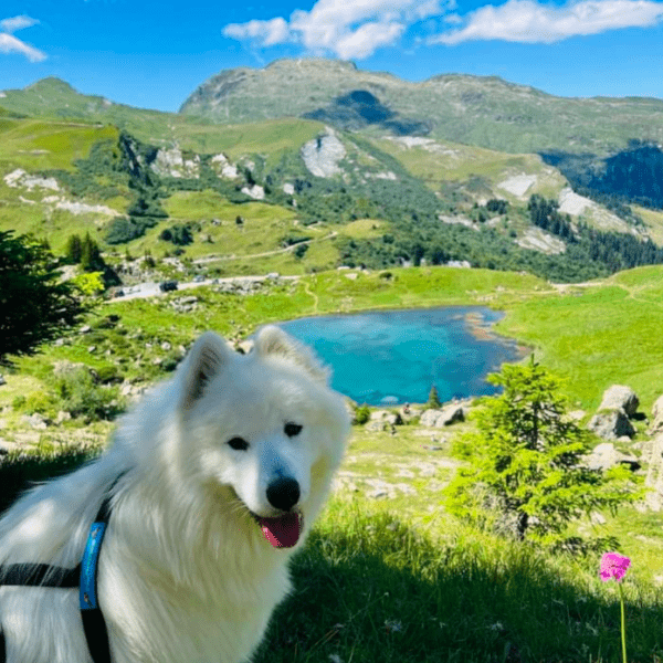 Randonnée du Lac de Saint-Guerin au Lac des Fées