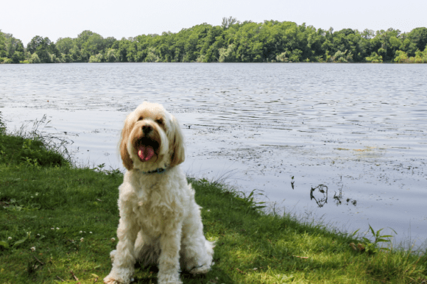 Base de loisirs de l’Etang du Puits – Berry