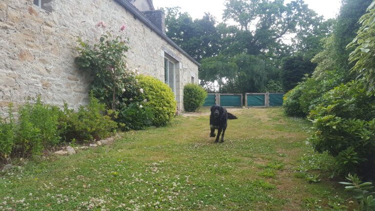 Gite de Croas Ar Rest – photo 3