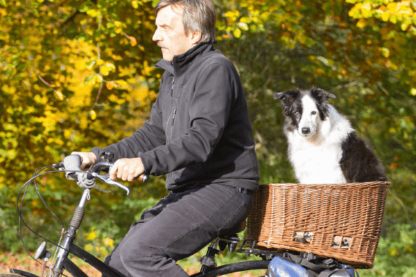 JustBike
