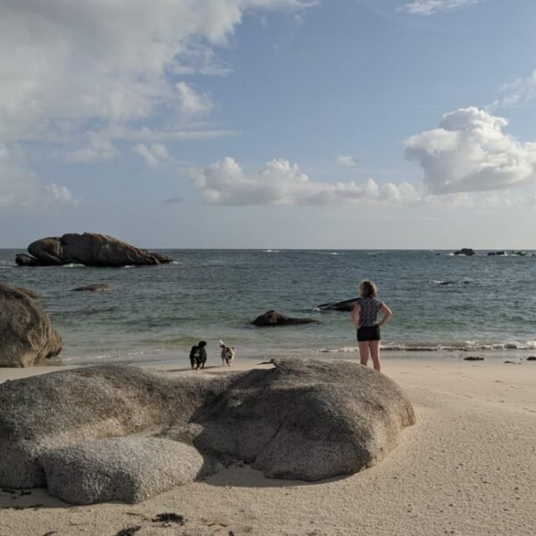 Plage avec son chien à 500m des maisons de la route du phare à Plounéour à Trez dans le Finistère en Bretagne