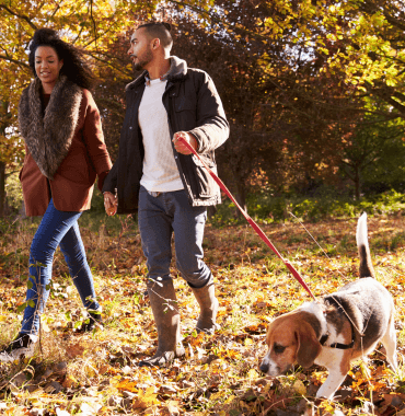 passeggiare nel bosco con il cane in autunno, pericoli da evitare