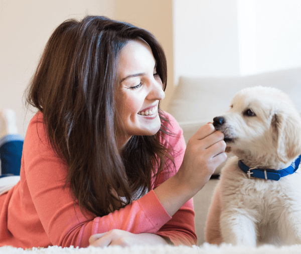 éduquer son chiot : conseils
