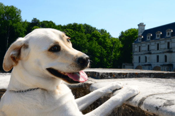 Visite gourmande de Sancerre – Berry