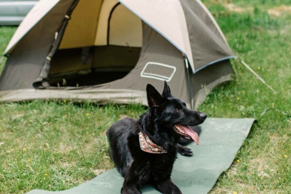 Camping Seasonova les Vosges du nord