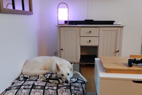 Gîte Coc’ker Breizh