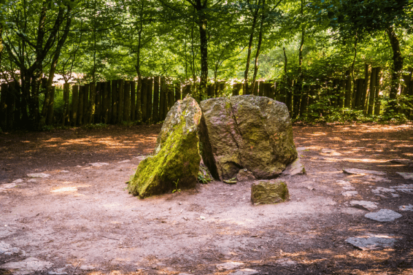 La forêt de Brocéliande