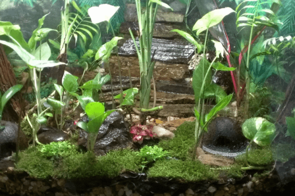 Micro Zoo Saint-Malo