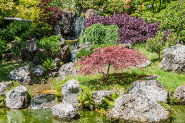 Parc botanique de Haute-Bretagne