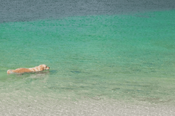 Plage du Lotu