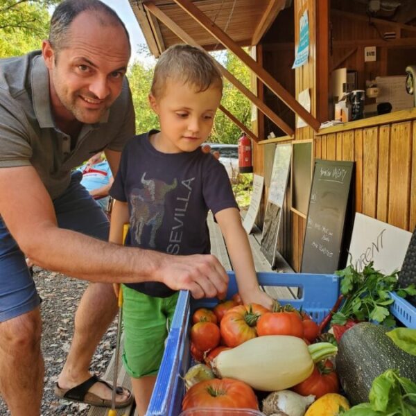 Père et son fils au libre service du potager bio du Camping le Valenty dans le Lot à Soturac dans le Sud ouest France