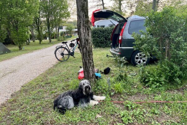 Camping La Rivière Dorée