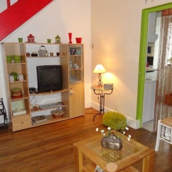 Salon avec télé dans les Gîtes La Maison d'Anna, la Maison d'Auriane, la Maison côté Marais à Bourges en Berry dans le Cher en Centre Val de Loire