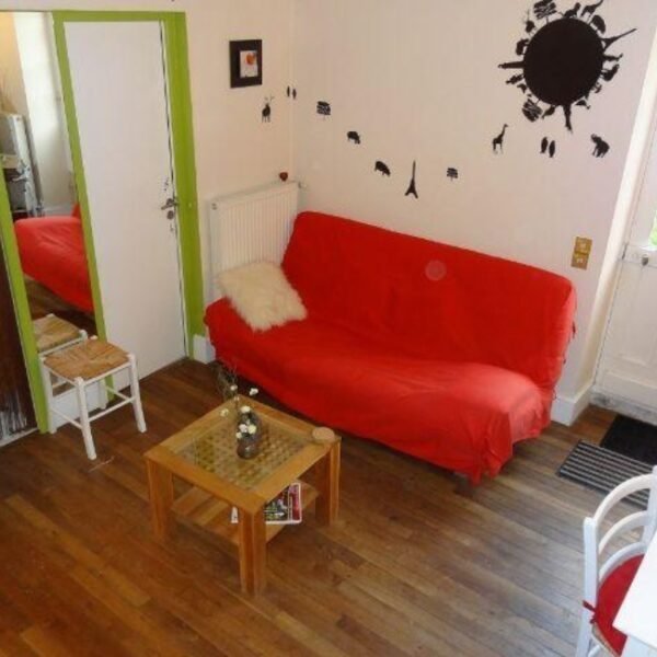 Salon avec canapé convertible dans les Gîtes La Maison d'Anna, la Maison d'Auriane, la Maison côté Marais à Bourges en Berry dans le Cher en Centre Val de Loire