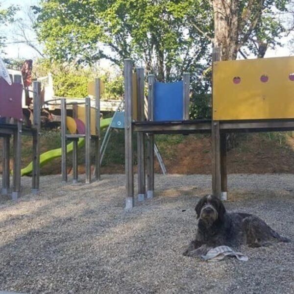 Hund vor dem Kinderspielplatz auf dem Campingplatz Le Valenty im Lot in Soturac in Okzitanien