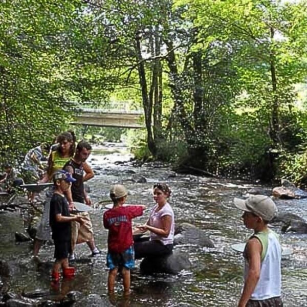 Initiation orpaillage dans la rivière du Camping du Moulin de Serre à Singles dans le Puy de Dôme proche du parc naturel régional des volcans d'Auvergne