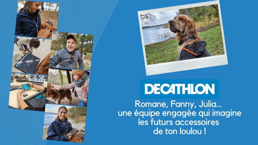 Decathlon: the new brand in dog sports
