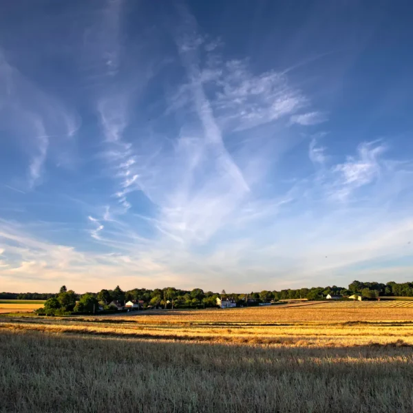 Les champs autour du Gite du Relais de la Canivotte proche de Provins en Ile de France en Seine et Marne