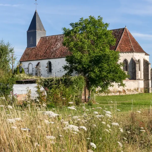 Vue depuis le jardin du Gite du Relais de la Canivotte proche de Provins en Ile de France en Seine et Marne