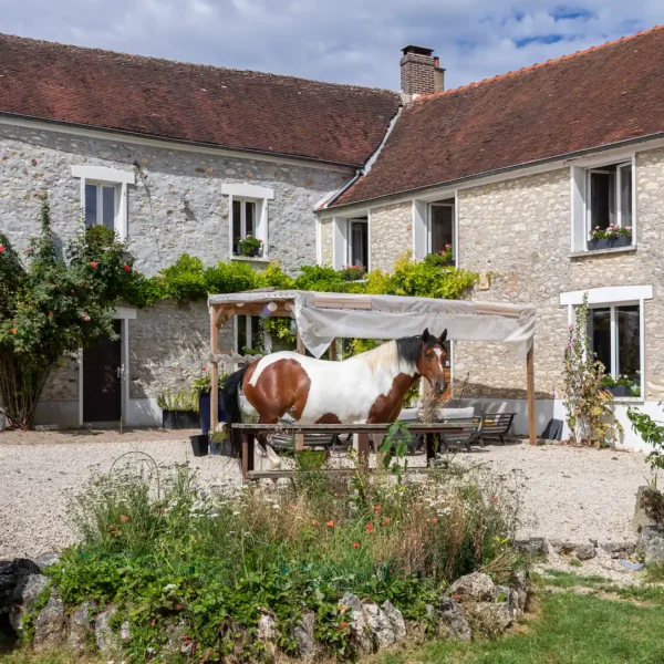 Cheval devant le Gite du Relais de la Canivotte proche de Provins en Ile de France en Seine et Marne