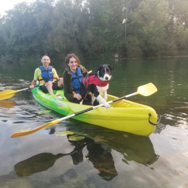 Cani Kayak proche du Village de Gîtes Au Soleil de Picardie dans les Hauts-de-France à Vailly sur Aisne