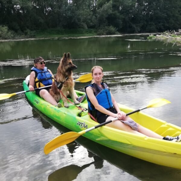 Cani Kayak proche du Village de Gîtes Au Soleil de Picardie dans les Hauts-de-France à Vailly sur Aisne