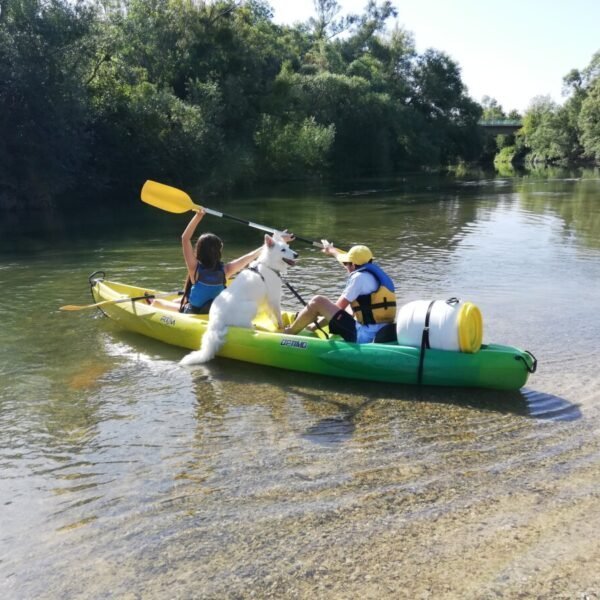 Cani Kayak proche du Village de Gîtes Au Soleil de Picardie dans les Hauts-de-France à Vailly sur Aisne