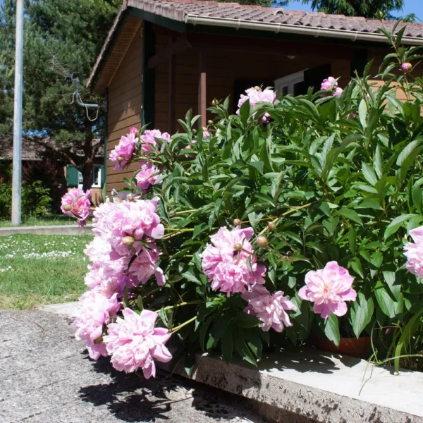 Jardin privatif d'un chalet dans le Village de Gîtes Au Soleil de Picardie dans les Hauts-de-France à Vailly sur Aisne