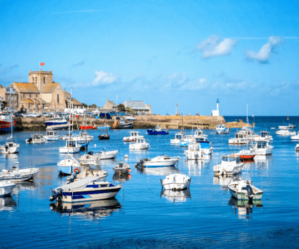 Le Cotentin avec son chien : nos bons plans