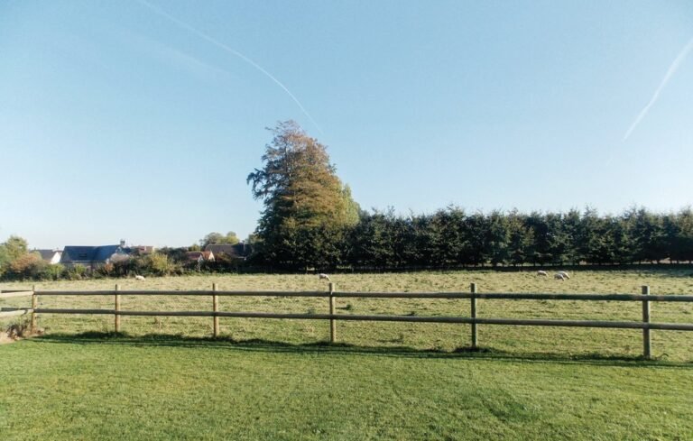 Vue sur la campagne depuis la terrasse du Gîte Le Copain Vert en Normandie à Hattenville en Seine Maritime
