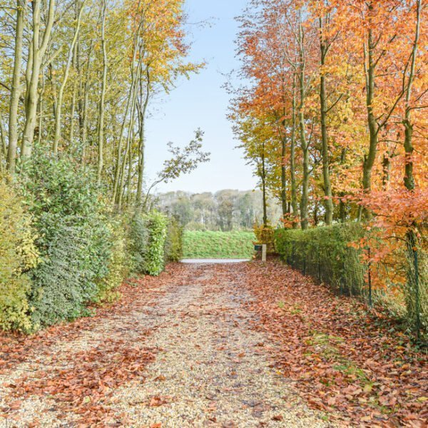 Allée menant au Gîte Pomme Cannelle en Normandie à Hattenville en Seine Maritime