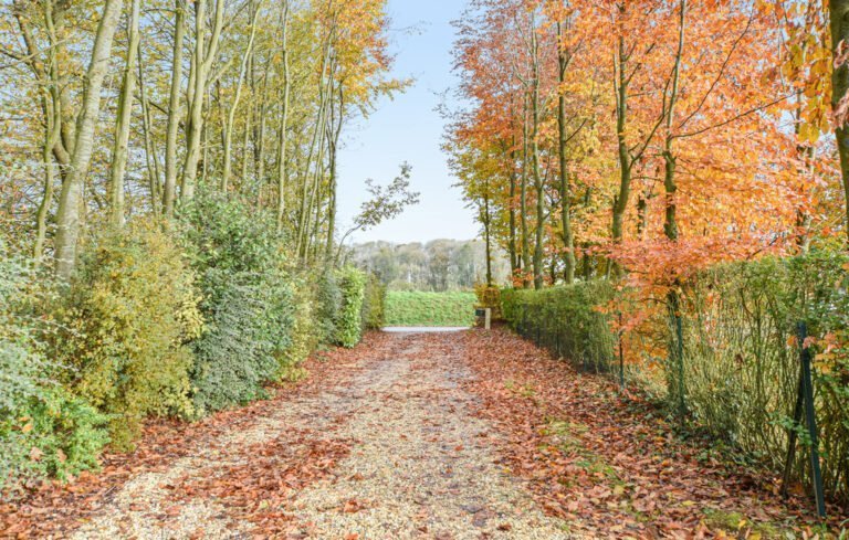Allée menant au Gîte Pomme Cannelle en Normandie à Hattenville en Seine Maritime