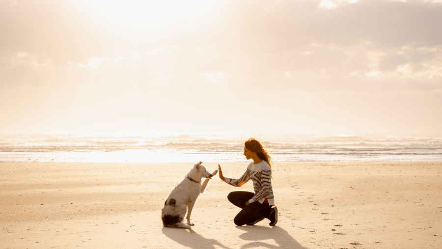 Playa de Fort Mahon con un perro