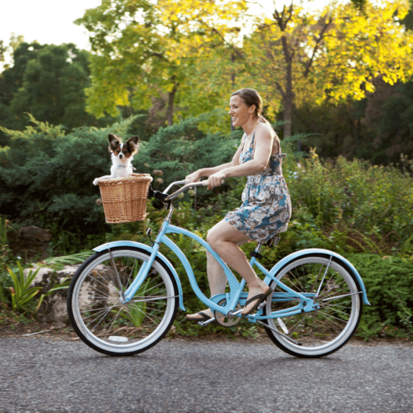 itinéraire vélo dans la somme dans un chien