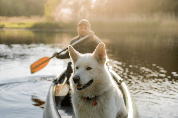 itinéraire canoë dans la somme dogfriendly