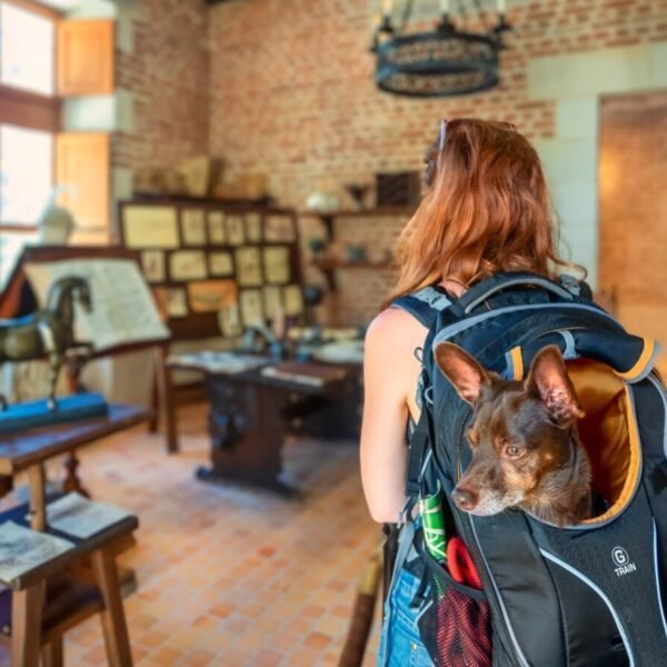 chien dans un sac à dos pendant la visite du château du Clos Lucé parmi les châteaux de la loire