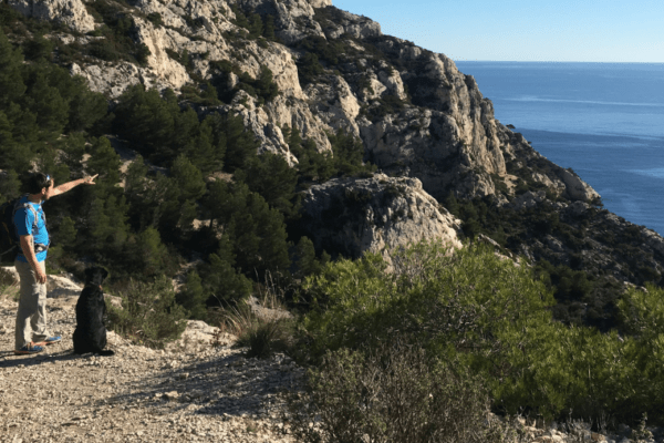 Where to hike with your dog in the Calanques?