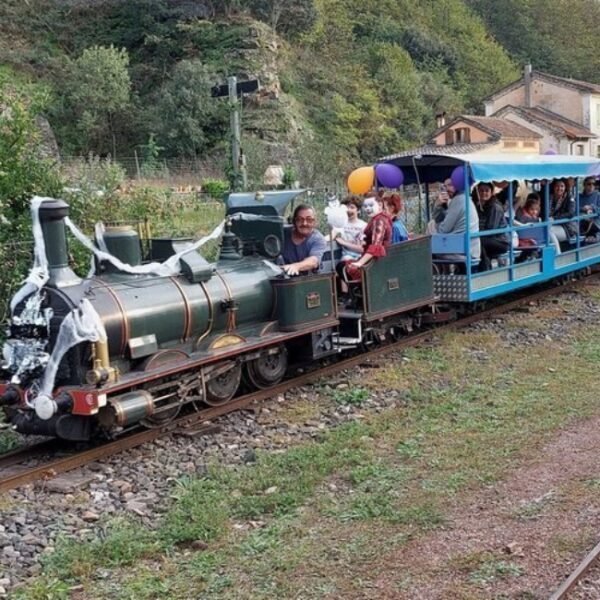 Train de l'Andorge en Cévennes pour une visite touristique dans le Gard