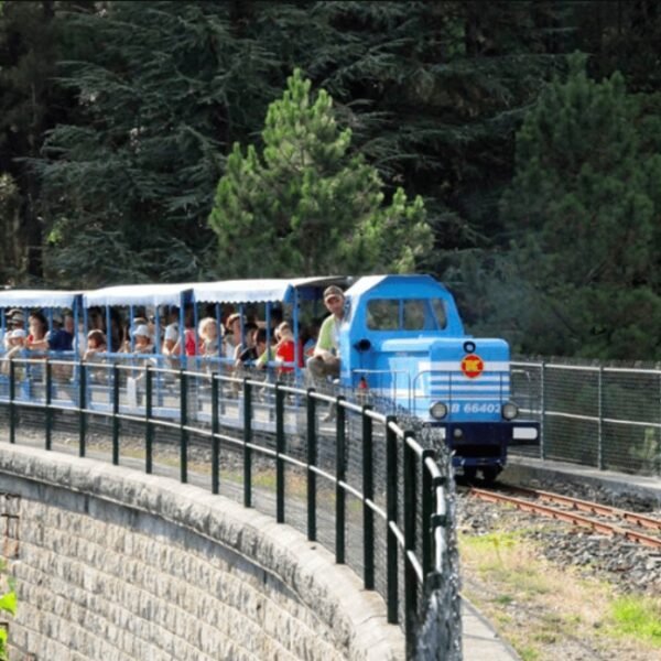 Train de l'Andorge en Cévennes pour une visite touristique dans le Gard