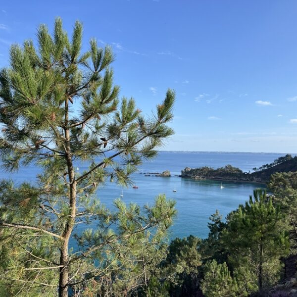 Centre Nautique de Crozon Morgat
