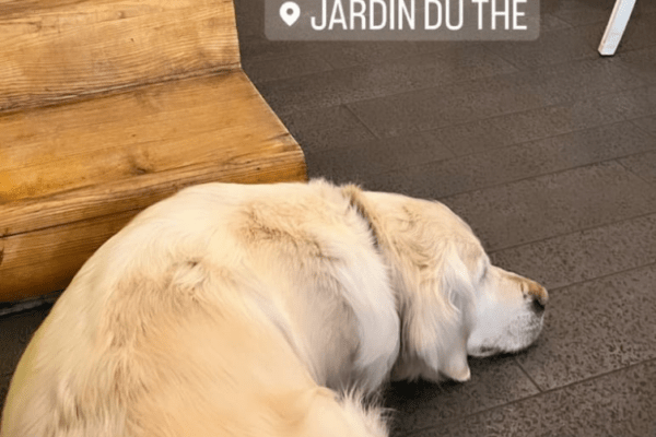 Jardin du Thé