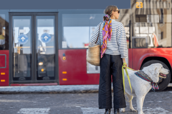 Les gares parisiennes avec son chien