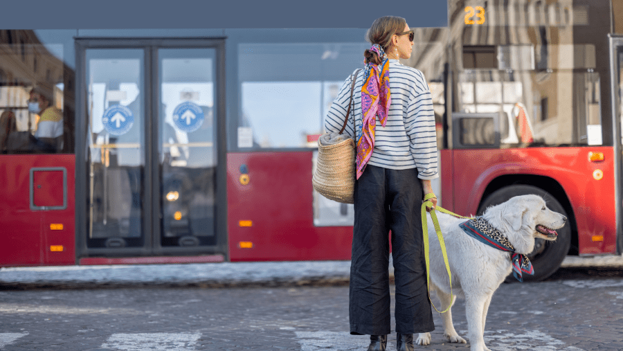 Les gares parisiennes avec son chien