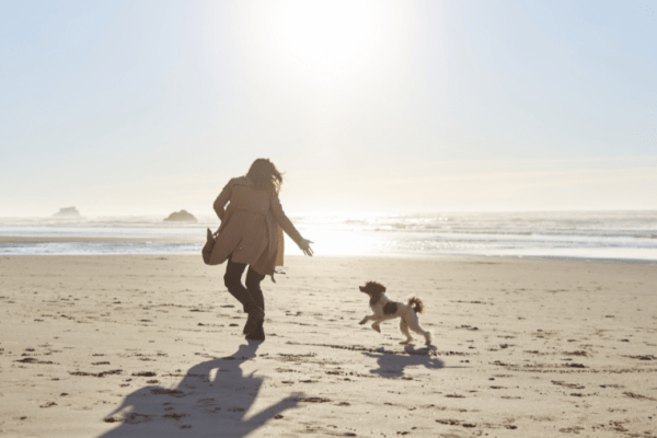 Plages autorisées aux chiens dans la Manche la Normandie la Bretagne La côte Atlantique Le Pays Basque La Côte d'Azur et au bord de lacs et de rivières